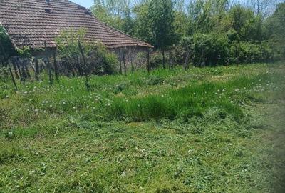 Teren de 1400 mp, în Turcinești - 2