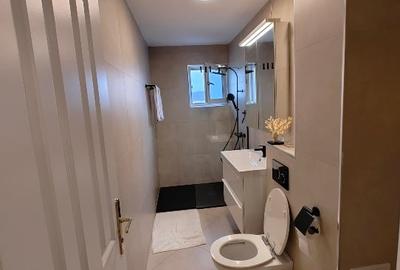 Apartament cu 4 camere decomandat, mobilat în Traian - 8