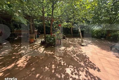 Casă cu 3 camere cu Teren 5550 Mp în Mihai Eminescu - 14