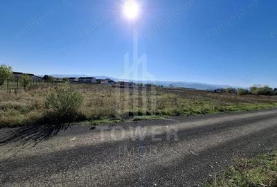 Teren de 2184 mp, în Turnișor - 2