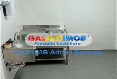 Spatiu comercial parter de vila, zona Doamna Ghica-Pod - 13