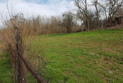 Teren Construcții intravilan de 1000 mp, în Sărulești - 6