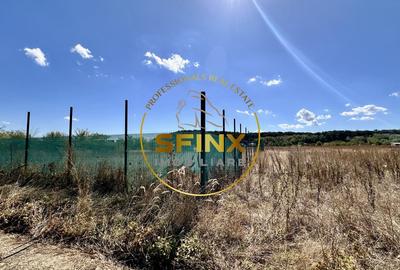 Teren Construcții intravilan de 3000 mp, în Corbeanca - 10