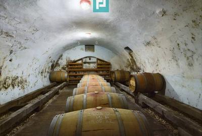 Casă individuală cu 6 camere cu Canalizare în Miniș - 36