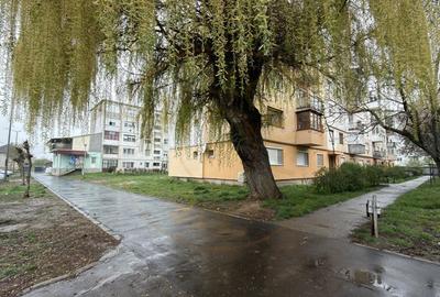 Apartament cu 2 camere semidecomandat în Carei - 17