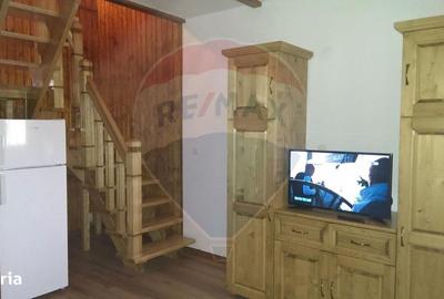 Spațiu comercial, de 330 mp, în Poienile Izei - 3