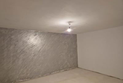 Casă cu 4 camere în Lăbușești