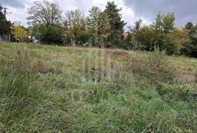 Teren de 509 mp, în Cisnădioara