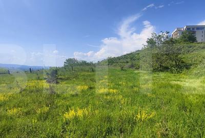 Teren de 15502 mp, în Răzvad - 8