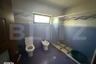 Casă cu 9 camere cu Teren 1000 Mp în Comișani - 3