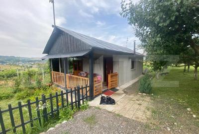 Teren extravilan 10 ari cu Cabana de 45 mp - 10