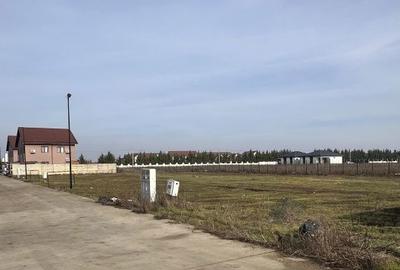 Spațiu comercial, în Corbeanca - 11