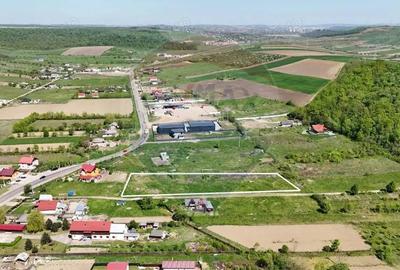 Teren Intravilan plan in Mogosesti Iasi - 1