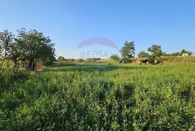 Teren intravilan 1,733mp Mitocasi, Suceava - 3