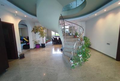 Duplex cu 11 camere cu Teren 1130 Mp în Pantelimon - 7