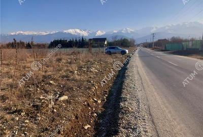 Teren intravilan 3000 mp de vanzare pe Valea Avrigului drum asfaltat - 2