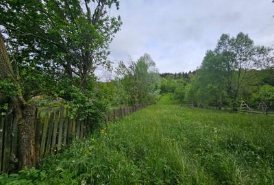 TEREN VANZARE VALEA DOFTANEI - 2