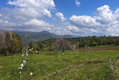Casă cu 3 camere în Stăncilova - 3
