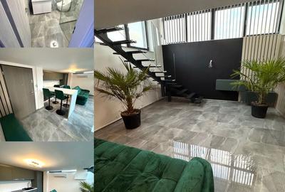 Apartament cu 2 camere semidecomandat în Băile Felix - 5