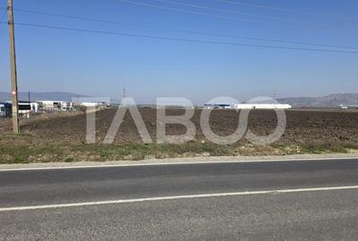 Teren Construcții extravilan de 5000 mp, în Sebeș - 1