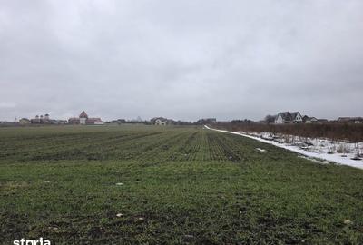 Teren de 800 mp, în Hărman