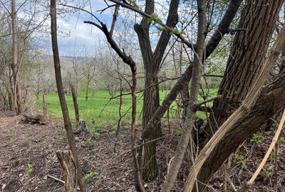 Breaza - str.Plaiului, Coasta Berzei nr.54, teren 1400 mp - 10