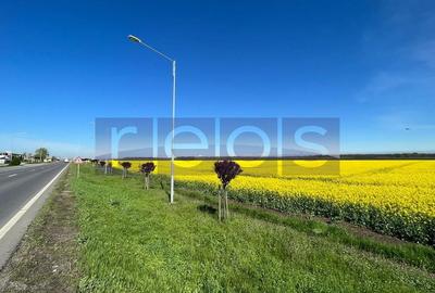 Teren 6.5HMakita Branesti deschidere 65 mp - 5