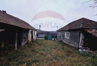 Casă cu 2 camere cu Teren 2443 Mp în Hidiș - 3