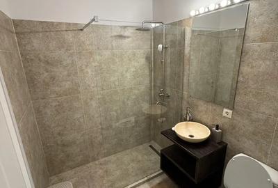 Inchiriez apartament 2 camere parcul Carol Inchiriez apartament 2 camere parcul Carol - 5