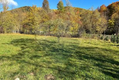 Teren de 1350 mp, în Gârcina - 8