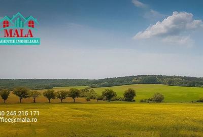Teren agricol intravilan de 7517 mp, în Bolovani