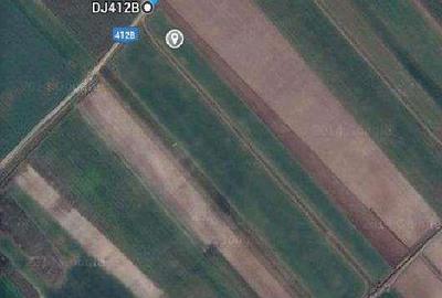 Teren de 12200 mp, în Mihăilești - 2