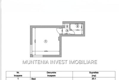 Casă cu 5 camere cu Teren 250 Mp în Central - 10