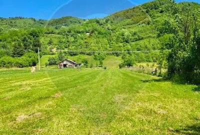 Casa / Vila cu 5 camere de vanzare - 4