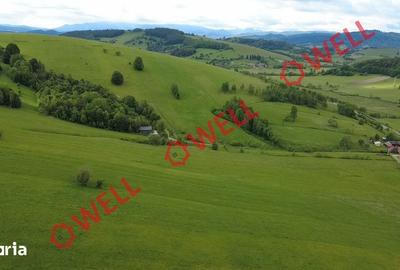 Teren de 4721 mp, în Barcani - 1