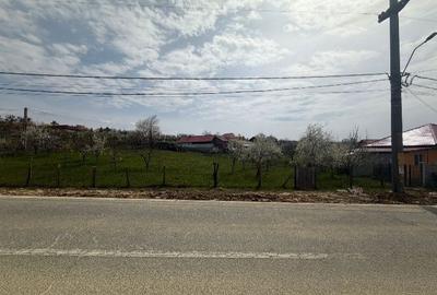 Teren de 1500 mp, în Nord-Est - 2
