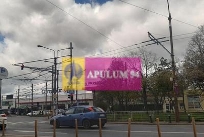 Teren de 2950 mp, în Alexandriei - 29