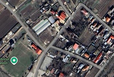 Teren de 1800 mp, în Beba Veche - 3