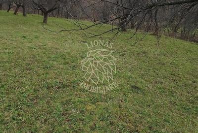 Teren agricol extravilan de 3966 mp, în Budacu de Sus - 4