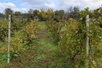 Casă cu 4 camere în Tudor Vladimirescu - 1