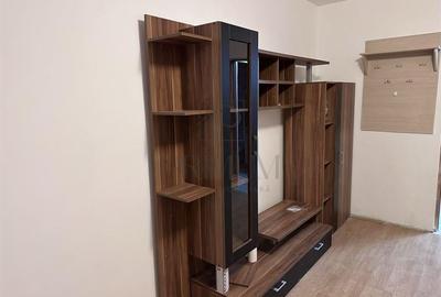 Apartament 1 camera- Blascovici - 3
