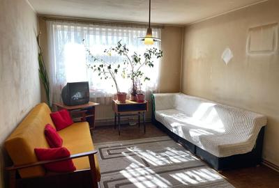 Apartament cu 2 camere în Brebina - 4