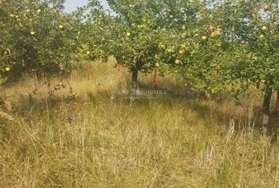 Teren de 2350 mp, în Izvorani - 1