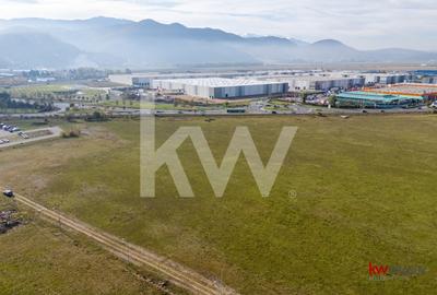 Vanzare teren 5337 mp Bartolomeu zona CATTIA - 4