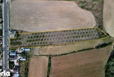 Teren de 9654 mp, în Dobra - 2