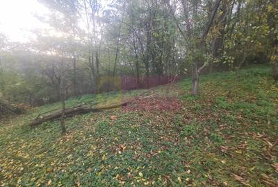 Casă cu 3 camere în Central - 17