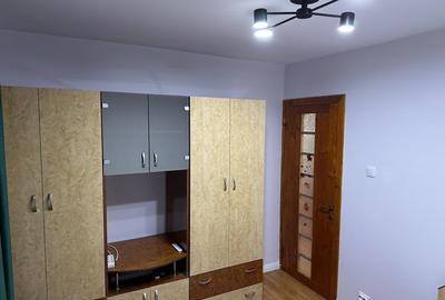 Apartament 2 camere ultramobilat și utit  etaj 2-4 , Brazda lui Novac , - 11