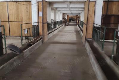 Spațiu comercial, de 700 mp, în Prejmer - 1