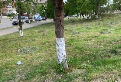 Teren de 2025 mp, în Central - 10