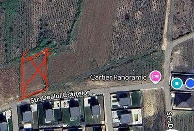 Spațiu comercial, în Socola - 6